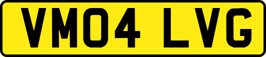 VM04LVG