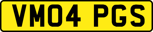 VM04PGS