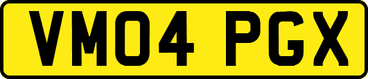 VM04PGX