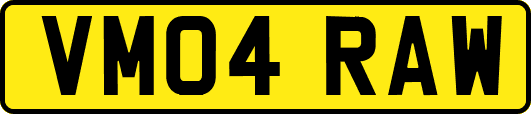 VM04RAW