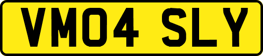 VM04SLY