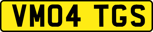 VM04TGS