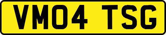 VM04TSG