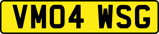 VM04WSG