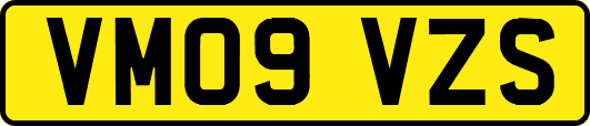 VM09VZS
