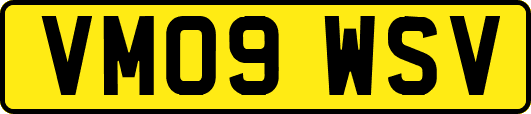 VM09WSV