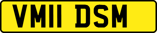 VM11DSM