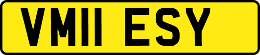VM11ESY