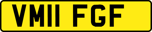 VM11FGF