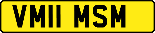 VM11MSM