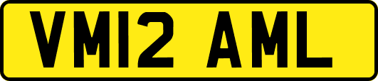VM12AML