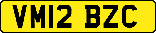 VM12BZC