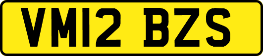 VM12BZS