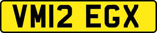 VM12EGX