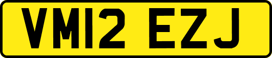 VM12EZJ