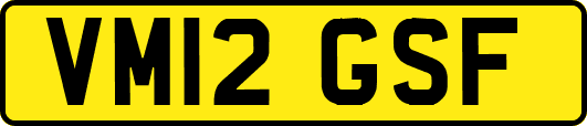 VM12GSF