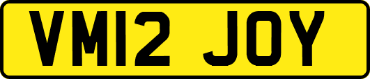 VM12JOY