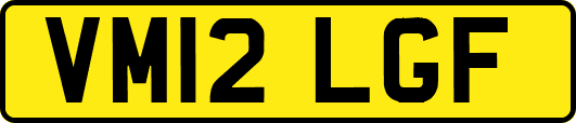 VM12LGF