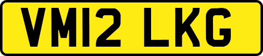 VM12LKG