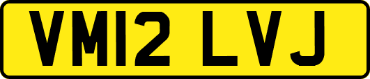 VM12LVJ