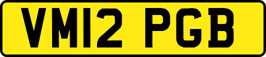 VM12PGB