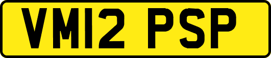 VM12PSP