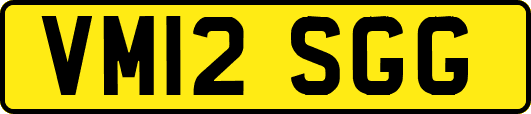VM12SGG