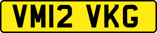VM12VKG
