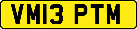 VM13PTM