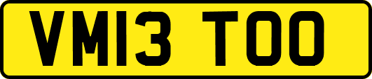 VM13TOO