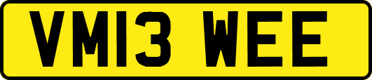 VM13WEE
