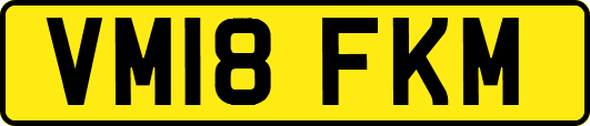 VM18FKM