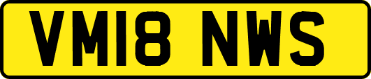 VM18NWS