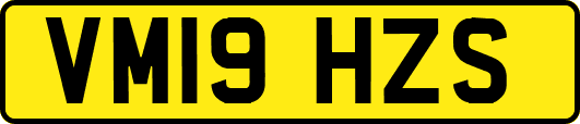 VM19HZS