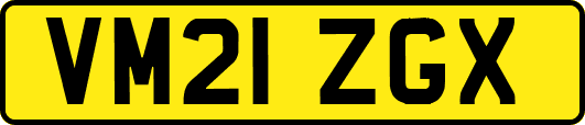 VM21ZGX