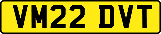 VM22DVT