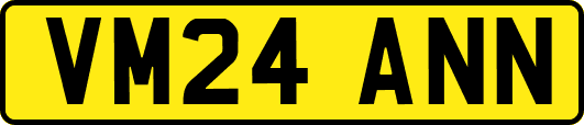 VM24ANN