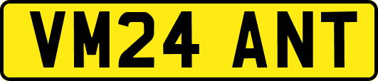 VM24ANT