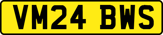 VM24BWS