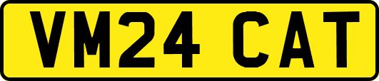 VM24CAT