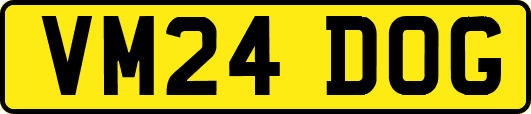 VM24DOG