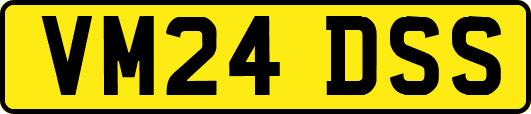 VM24DSS