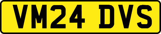VM24DVS