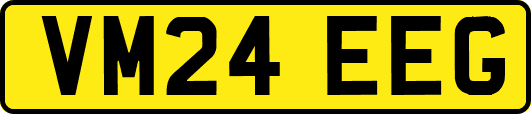 VM24EEG