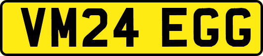 VM24EGG