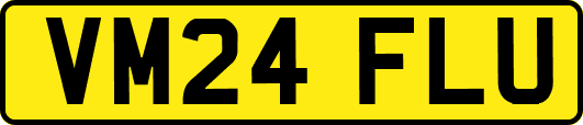 VM24FLU