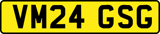 VM24GSG
