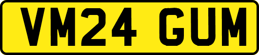 VM24GUM