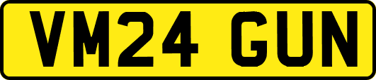 VM24GUN