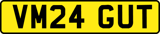 VM24GUT